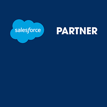 Salesforce導入支援